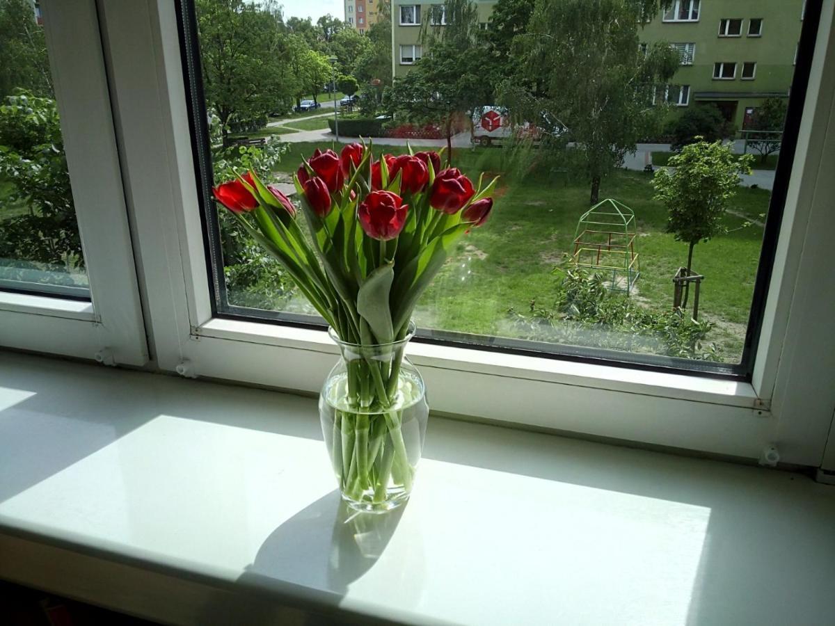 Apartament Usmiech Płock Εξωτερικό φωτογραφία