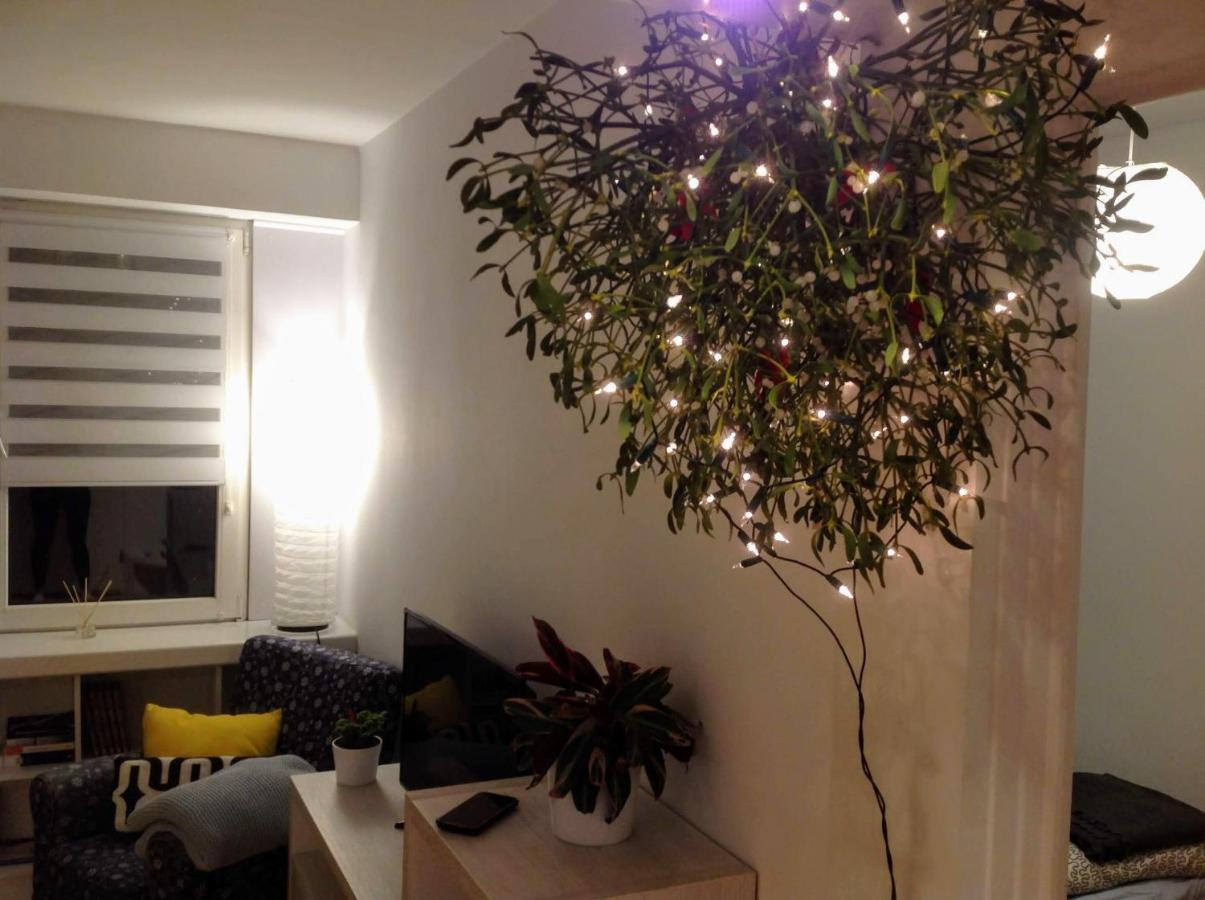 Apartament Usmiech Płock Εξωτερικό φωτογραφία